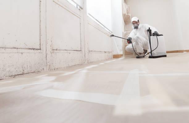 24/7 Emergency Mold Removal experts in Allentown, NJ